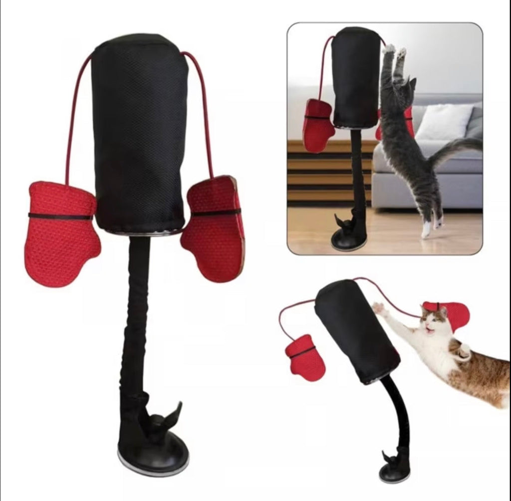 Cat Punching Bag — Let Your Cat Throw Punches !
