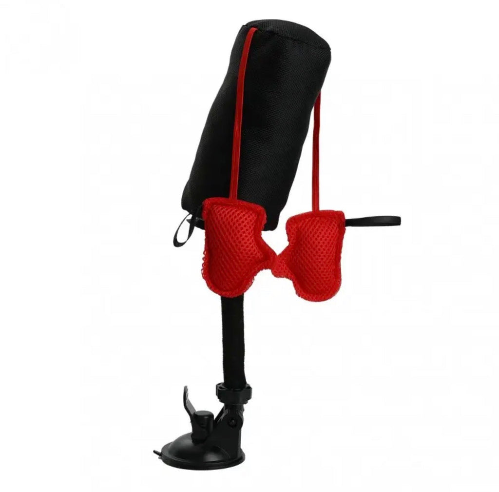 Cat Punching Bag — Let Your Cat Throw Punches !