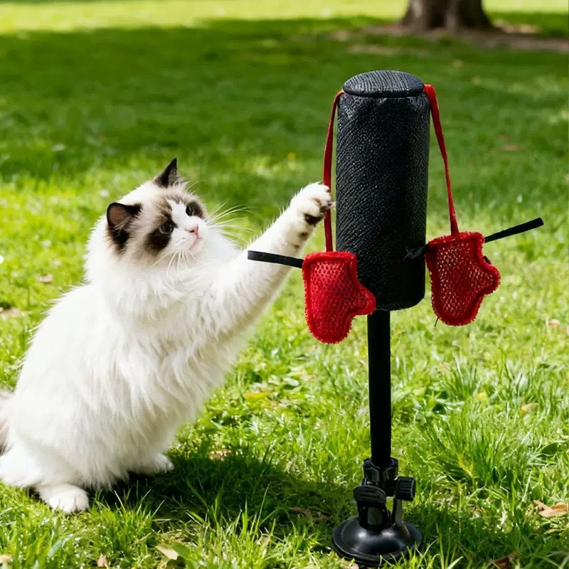 Cat Punching Bag — Let Your Cat Throw Punches !