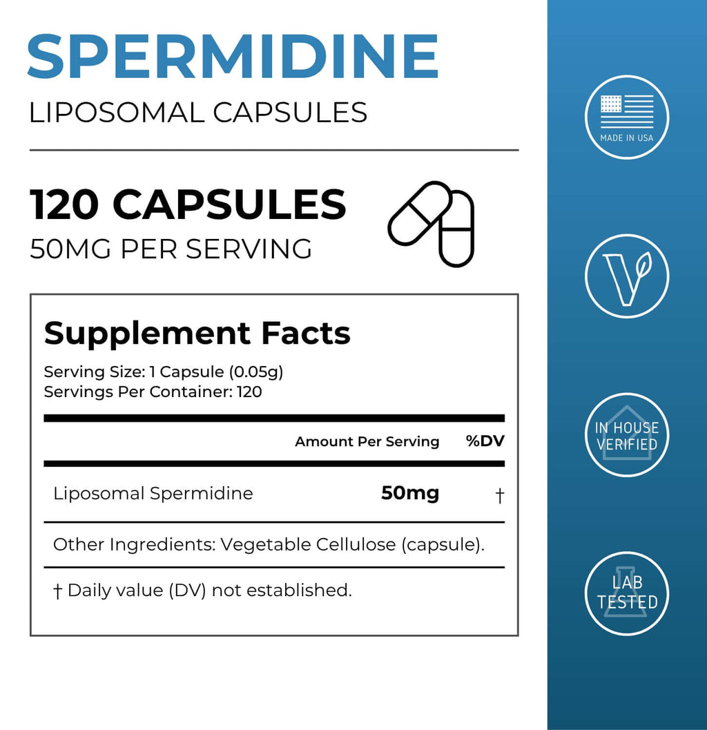 Liposomal Spermidine Capsules